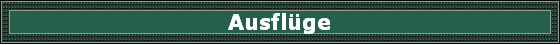 Ausflge